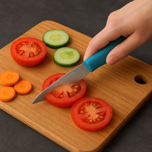 Steel Kitchen Utility Knife